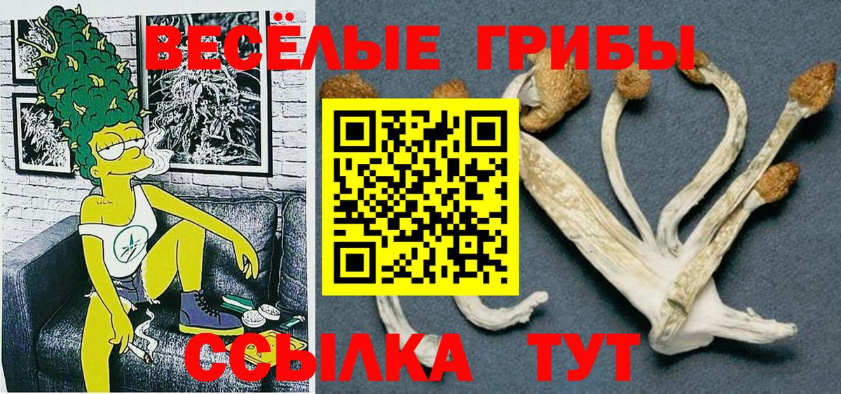 Псилоцибиновые грибы Magic Shrooms Сунжа